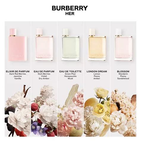 guess vs burberry perfume|burberry her perfume reviews.